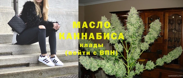 сатива Новокубанск